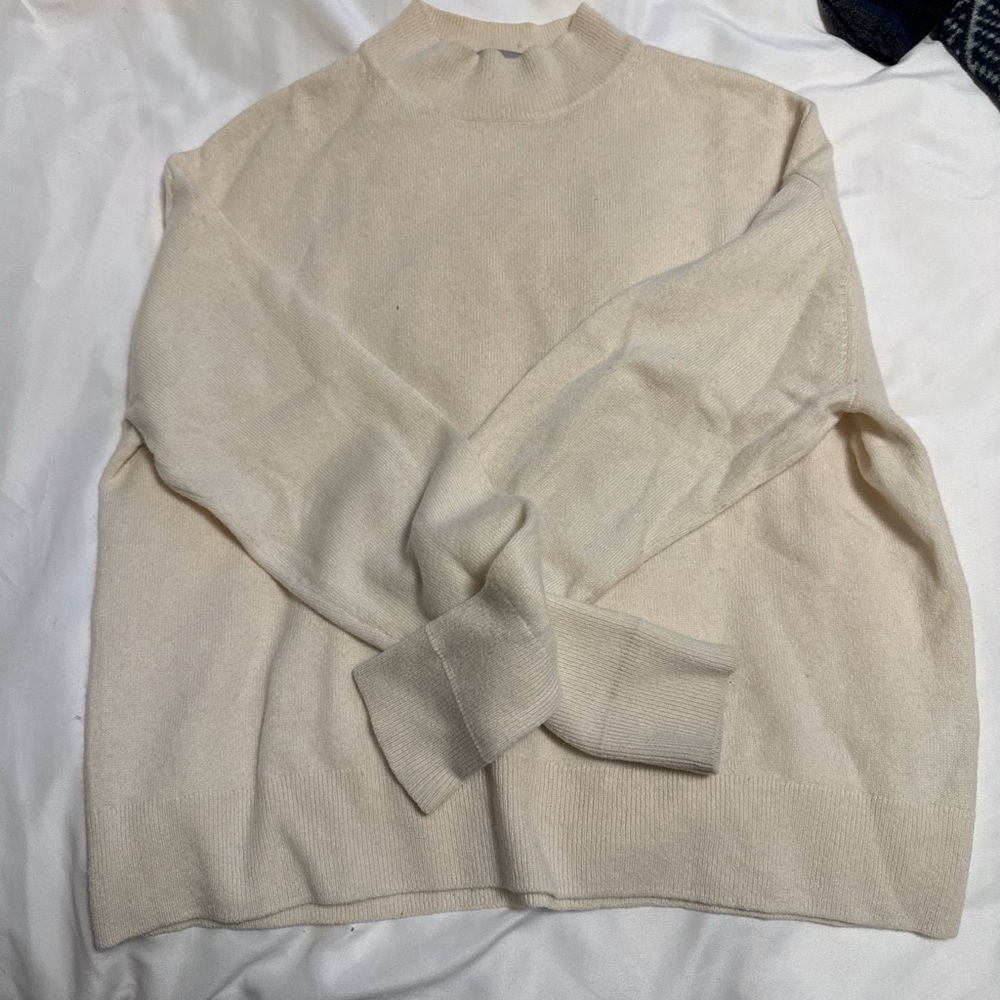 Everlane Beige Turtleneck Sweater
